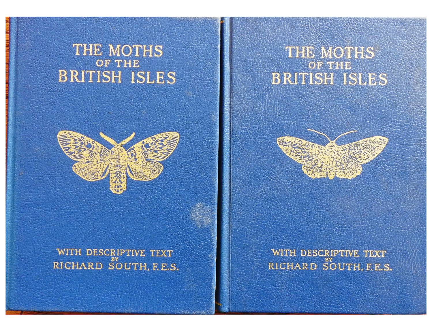 moths of british isles 2 boeken